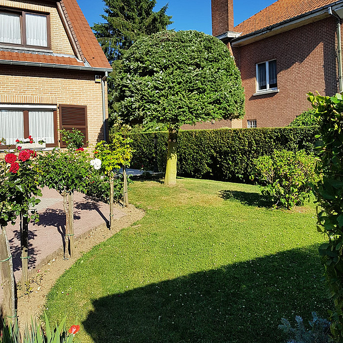 Pelouse, tonte, gazon, entretien de jardin, entretien régulier, paysagiste, espaces verts, jardins