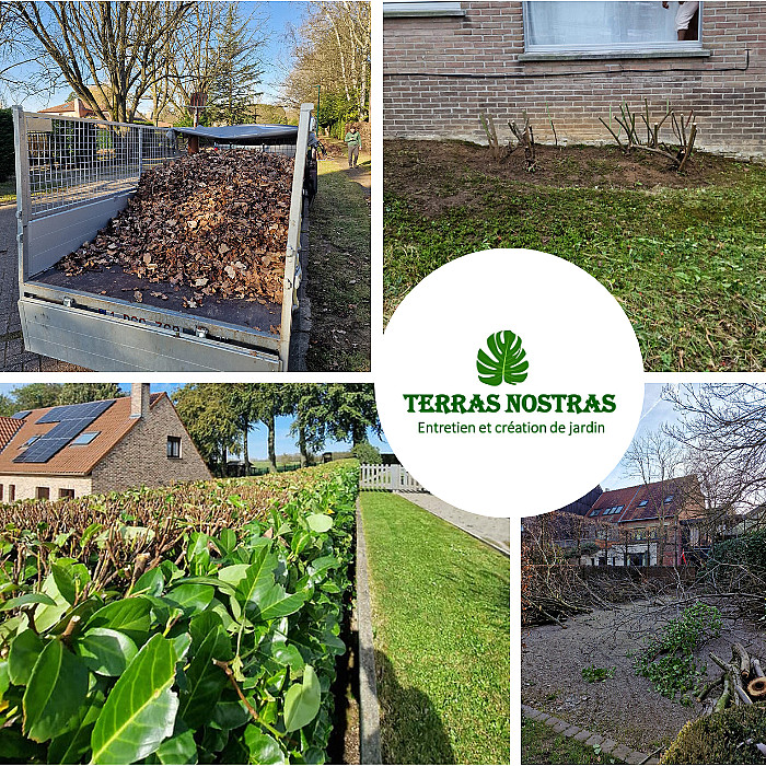 Abattage, élagage, entretien de jardin, gestion des arbres, jardinier, paysagiste, biodiversité, sécurité des arbres, branches, arbres malades