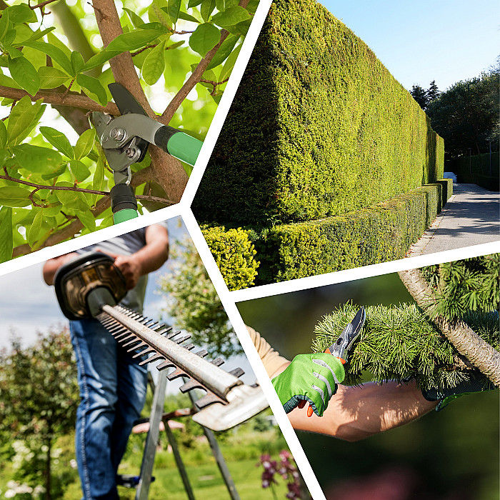 Tuinonderhoud, gras maaien, snoeien, heggen snoeien, onderhoud van borders, seizoensonderhoud, Zedelgem, Torhout, Oostkamp