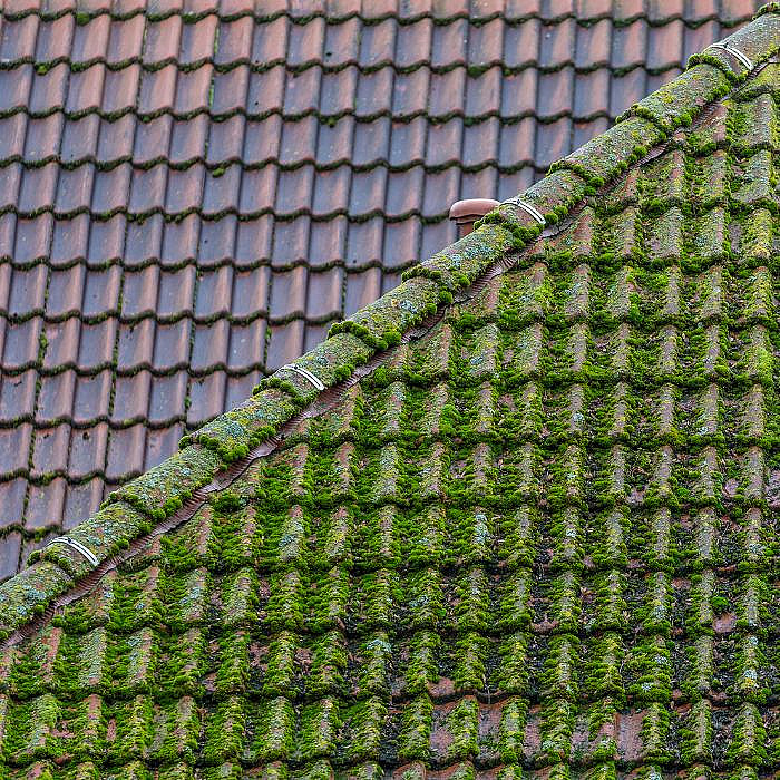 Démoussage, mousse sur toiture, nettoyage de toiture, protection toiture, Bertrix,
                  Libramont-Chevigny, Florenville