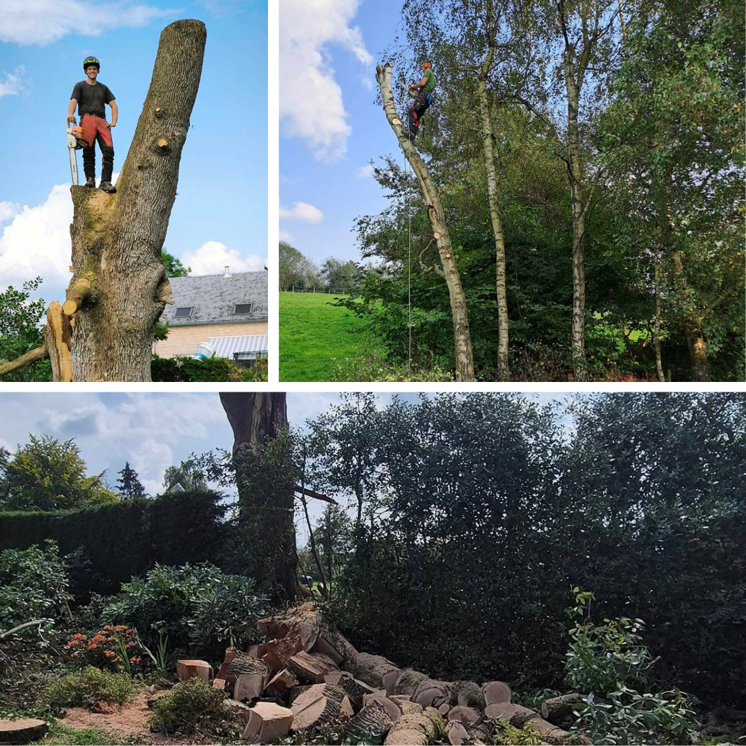 aménagement extérieur, abattage, élagage, clôtures, entretien de jardin, mur végétal, terrasse en bois, jardinier Sprimont, jardinier Anthisnes, jardinier Pepinster, jardinier Louvegnée, jardinier Banneux