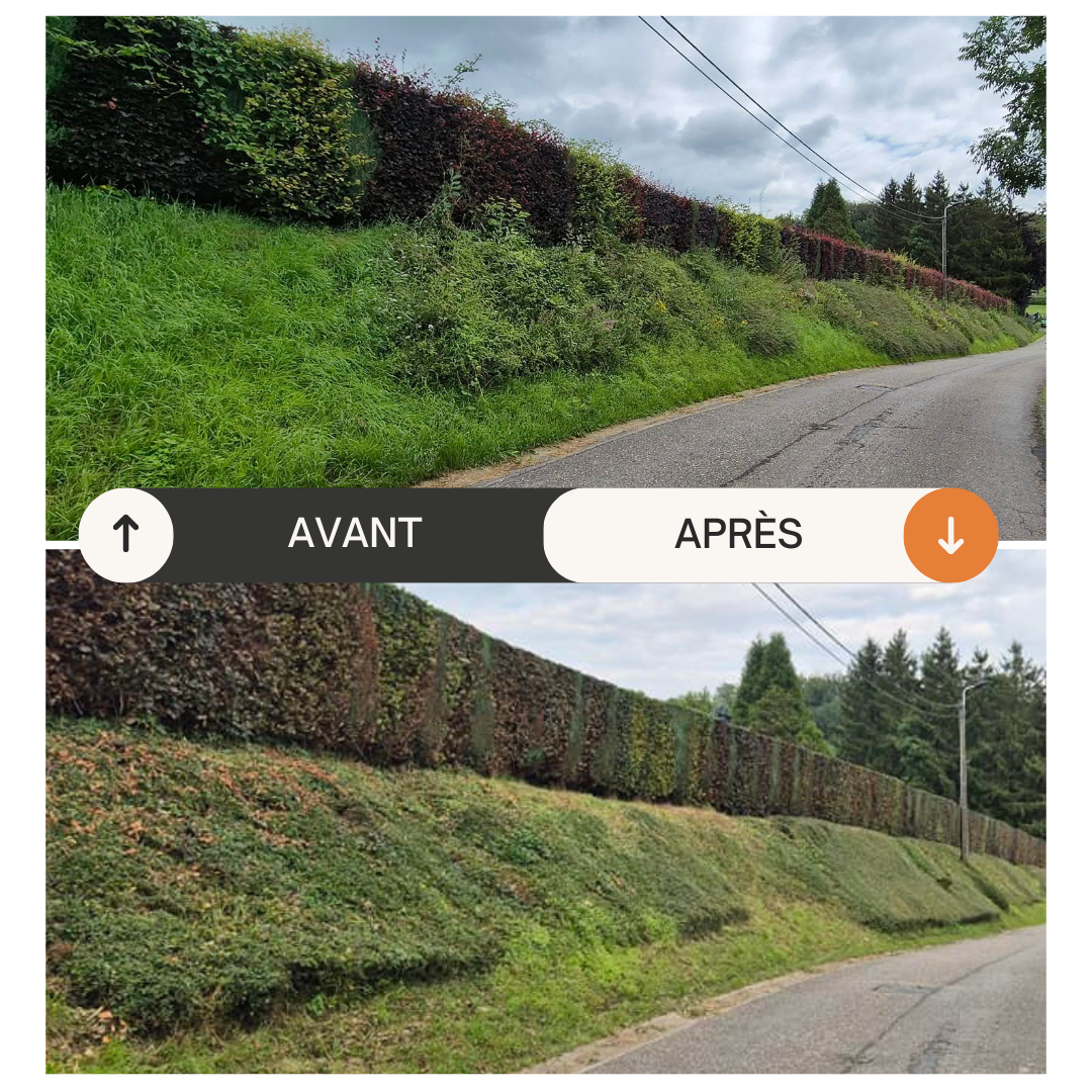 aménagement extérieur, abattage, élagage, clôtures, entretien de jardin, mur végétal, terrasse en bois, jardinier Sprimont, jardinier Anthisnes, jardinier Pepinster, jardinier Louvegnée, jardinier Banneux