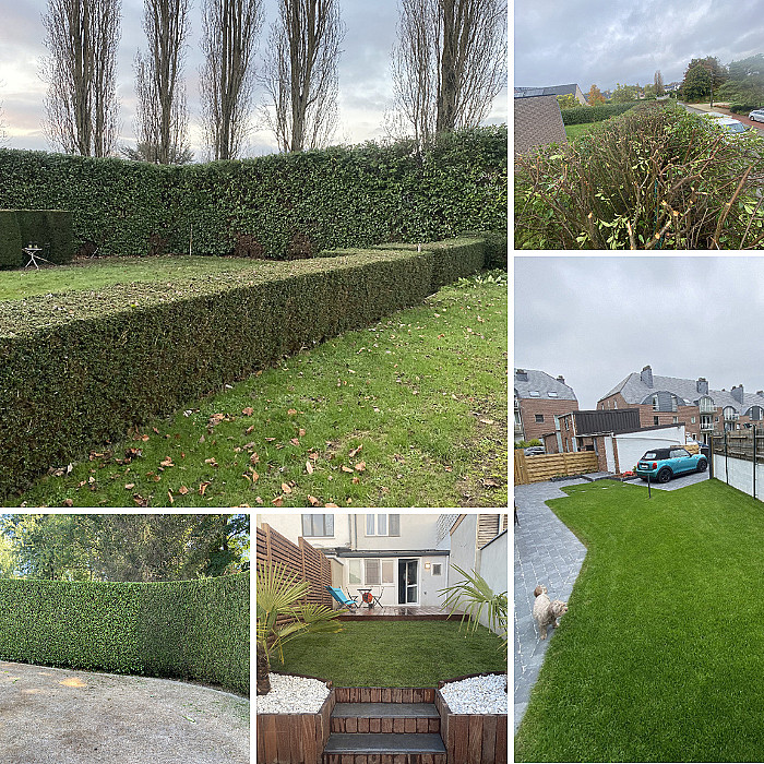 Pelouse, rouleau, gazon, sol, jardin, jardinier