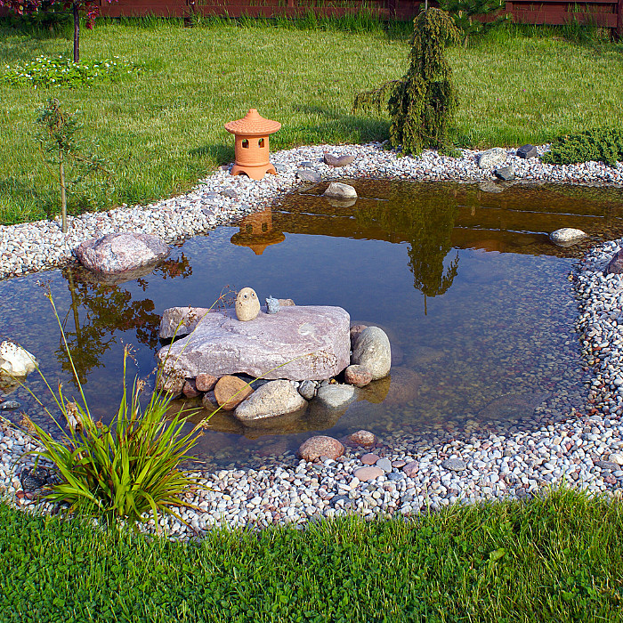 Sunrise Garden, aquatique, espace, jardin, petit étang