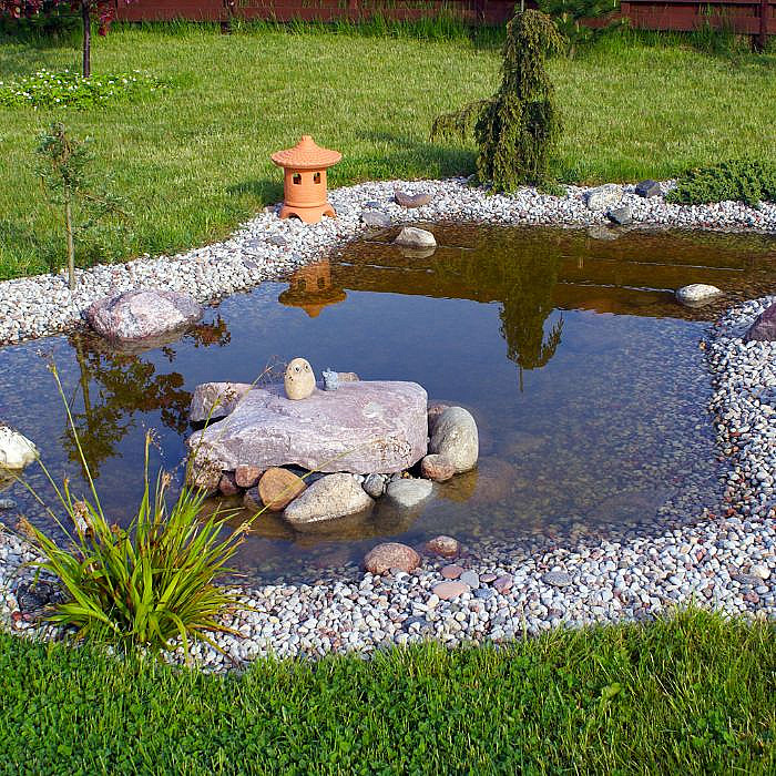 Étang, mare, création d’étang, réhabilitation de mare, aménagement extérieur, jardinier, paysagiste,
                  écosystème aquatique, plantation aquatique, entretien d’étang, aménagement de jardin, bassin,
                  biodiversité, terrain, installation d’étang