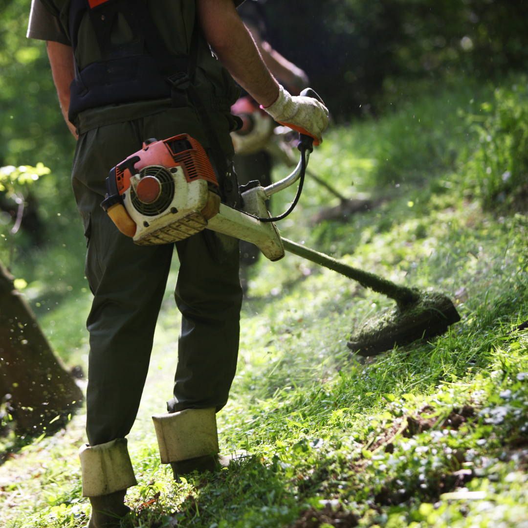 Pelouse, rouleau, gazon, sol, jardin, jardinier