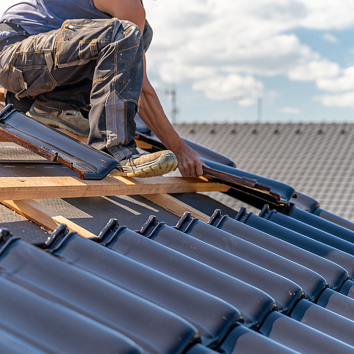 Onderhoud, corniches, nieuwe zinken, dak