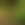 Abattage, arbre, entretien jardin, élagueur, élagage, haies, arbustes