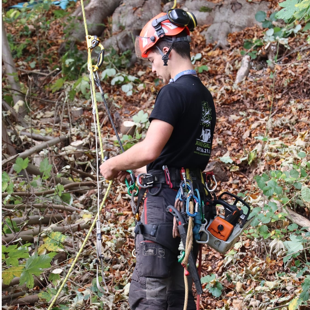 arboriste grimpeur, entretien de jardin, gyrobroyage, travaux forestiers, abattage, débardage, aménagement extérieur, Malmedy, Jalhay, Verviers, province de Liège