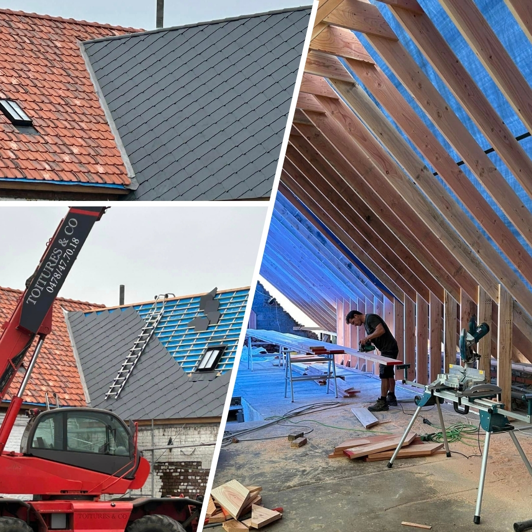 Aménagement de grenier, charpente, cheminée, corniches, gouttières, démoussage de toiture, étanchéité toiture, installateur VELUX, isolation, rénovation et réparation de toiture, bardage, cloisons, construction bois, travaux de maçonnerie, vérandas, abris de jardin