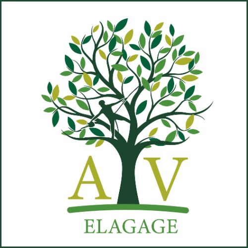A.V Élagage