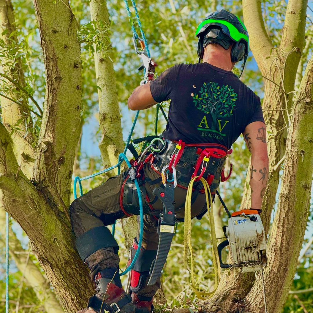 architecture, architecte, agencements, organisation, configuration, maison, vente, pièce, 
                    cuisine, bureaux, restaurants, commerces, couleurs, nuanciers, décoration