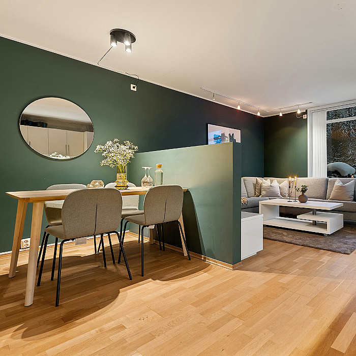 Peinture intérieure, enduit, plâtre, murs, cloisons, nouvelle peinture, décoration