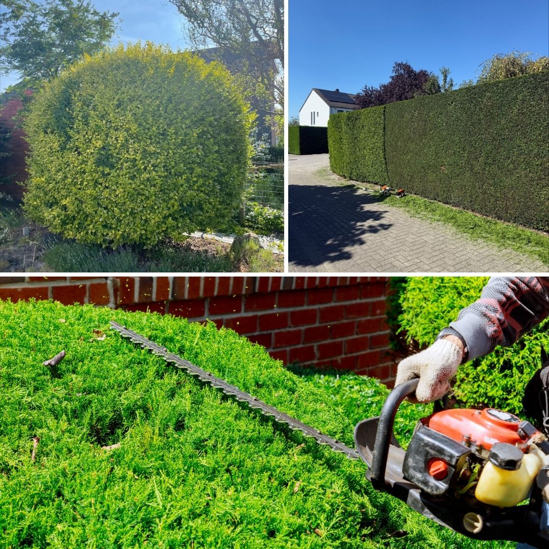 Mise en valeur, bien logement, vente, location, bine immobilier, agence,particuliers, professionnels, Forfaits