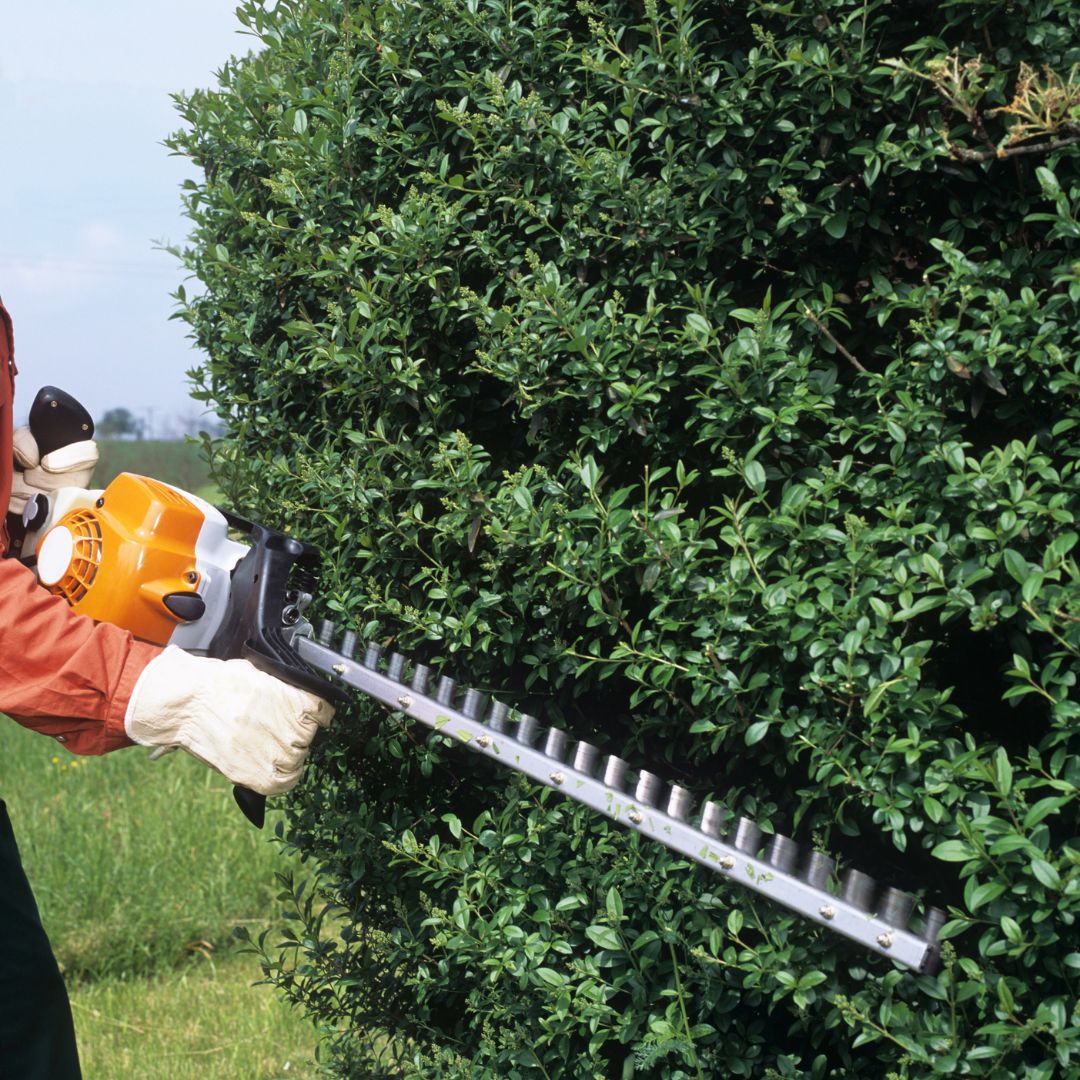 Home staging, aménagement, intérieur, optimisation, espaces, maison, mobilier, décoration, agencement