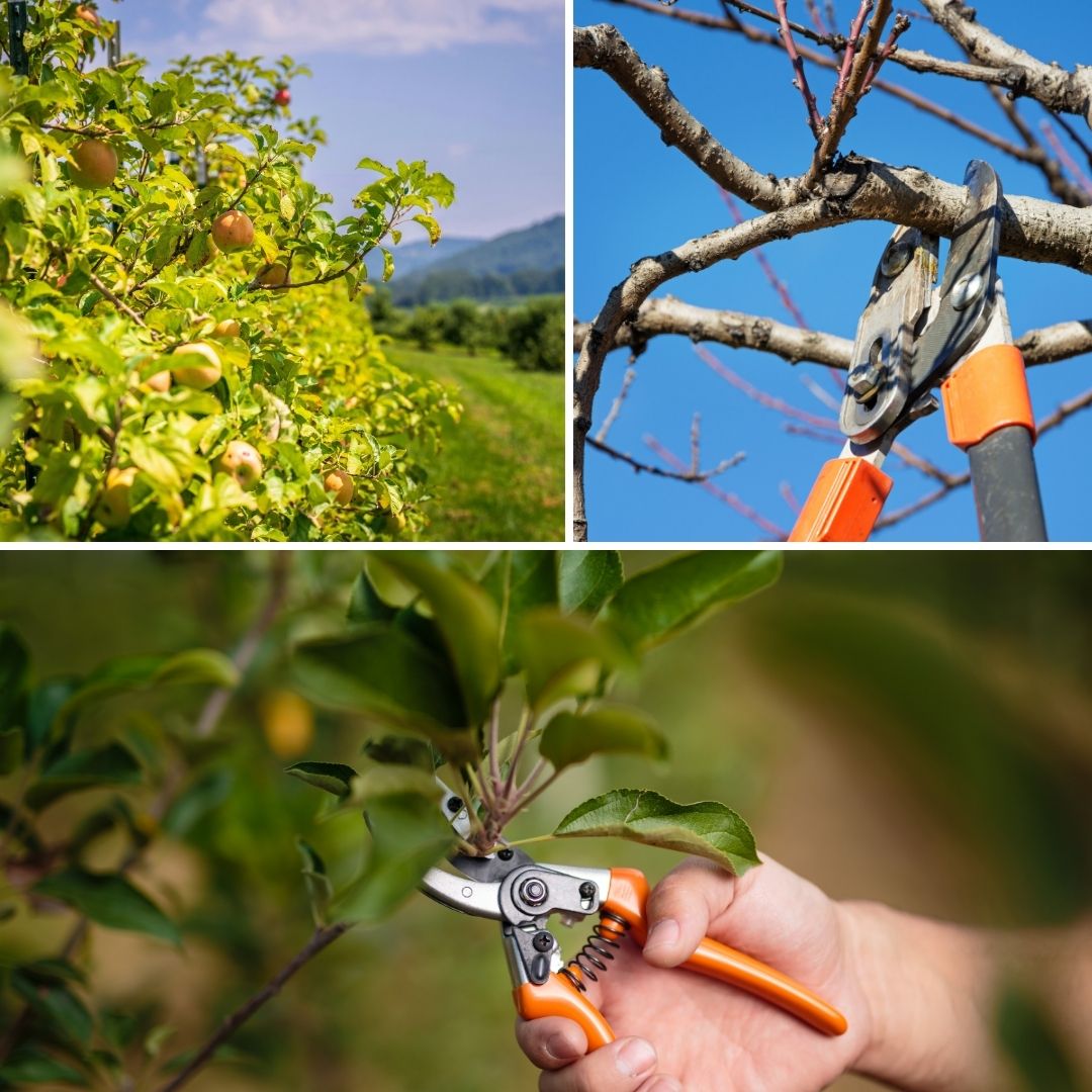 rénovation, vente, bien immobilier, optimisation, investissement, transformer