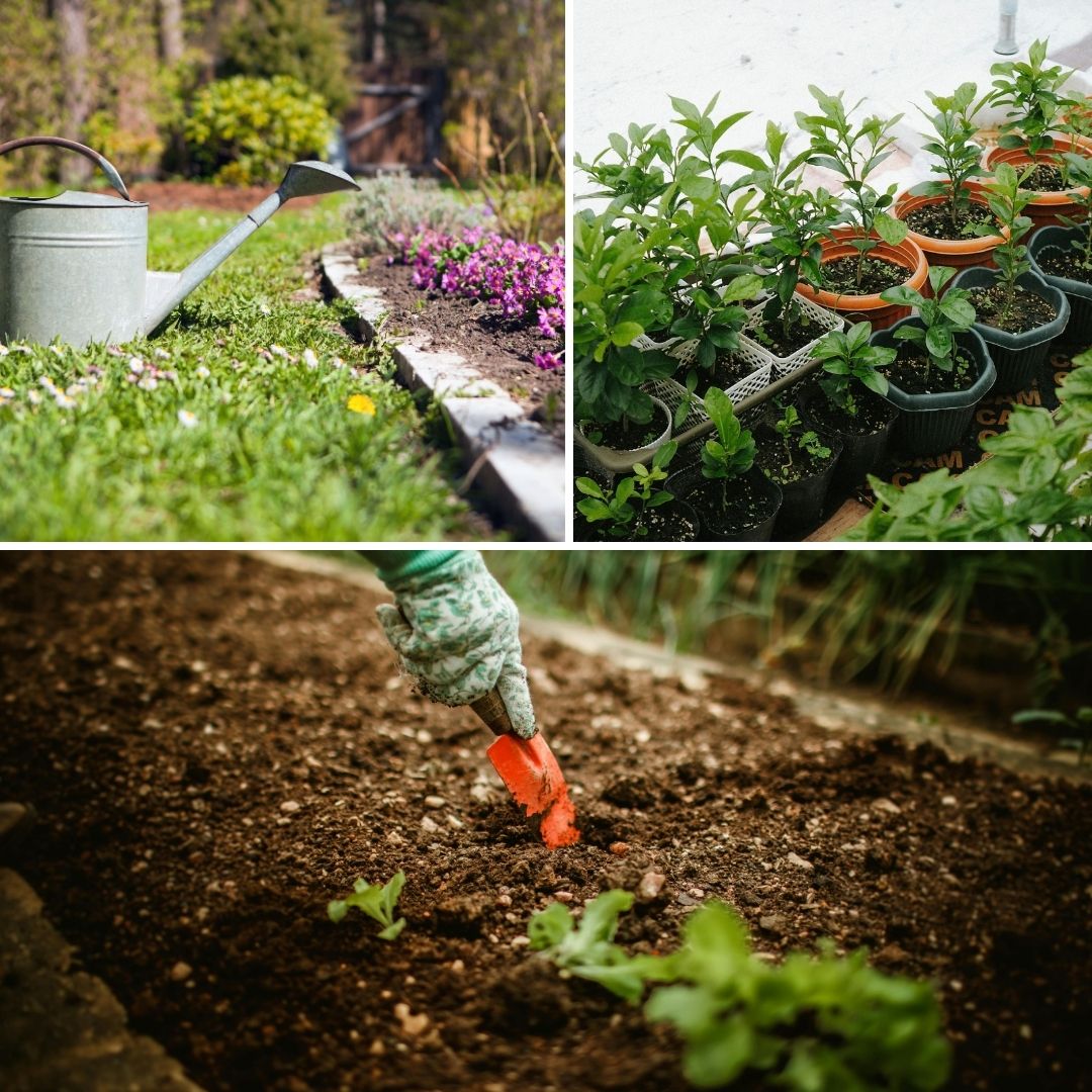 consultance immobilière, immobilier, agence, décoration, amnagement, vente, maison, achat, valoriser, restauration