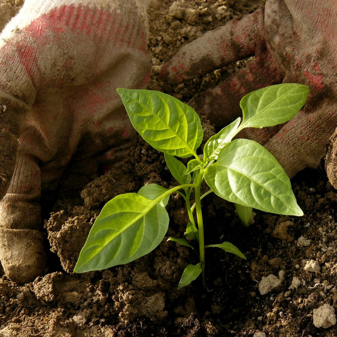 rénovation, vente, bien immobilier, optimisation, investissement, transformer