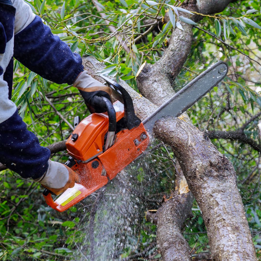 aménagement, décoration, rénovation, privé, particulier, décoratrice, architecte, intérieur, espace