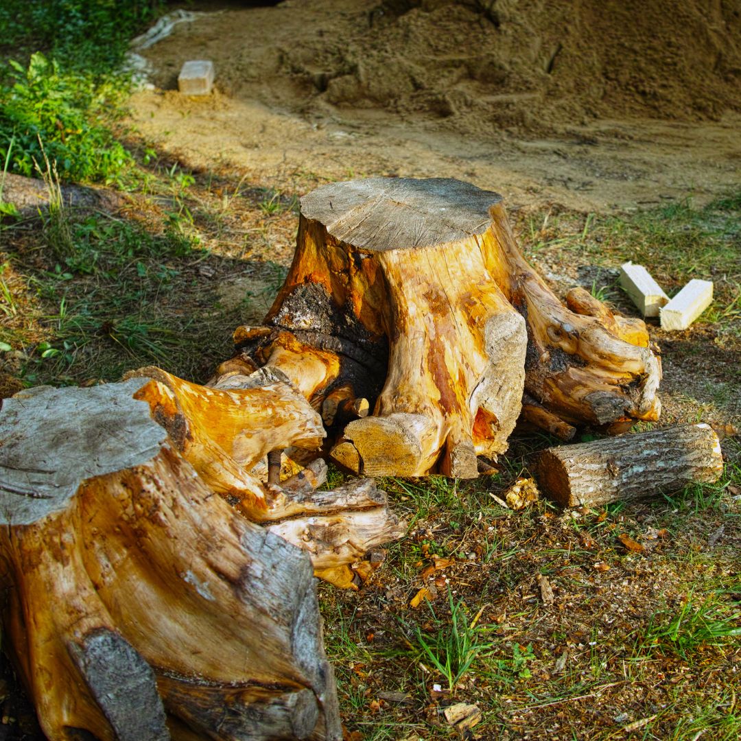 Aménagement pro, commerce,s restaurants, horeca, décoration, agencement, aménagement, espace public