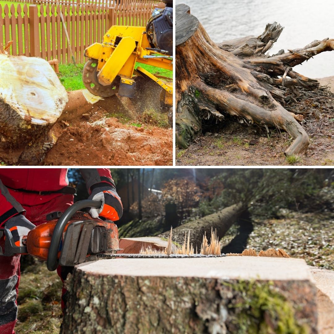 visualisation 3d, aménagement, projet, architecte intérieur, déco