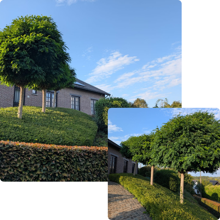 Jardin, terrassement, aménagement extérieur, cours, terrasse, éclairages, pavafge, sols, carrelage, entretien jardin