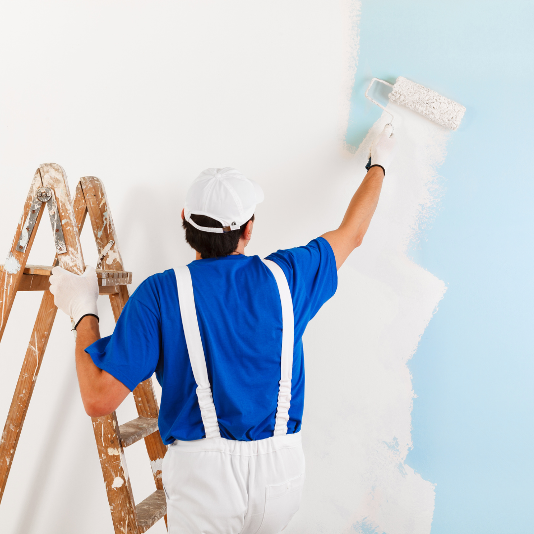 décorateur, décoration, couleurs, projet de peinture, rénovation peinture