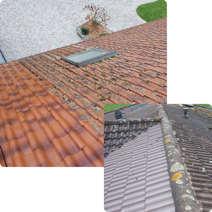 Toiture, toit, nettoyage, démoussage, mouse, traitement, antimousse