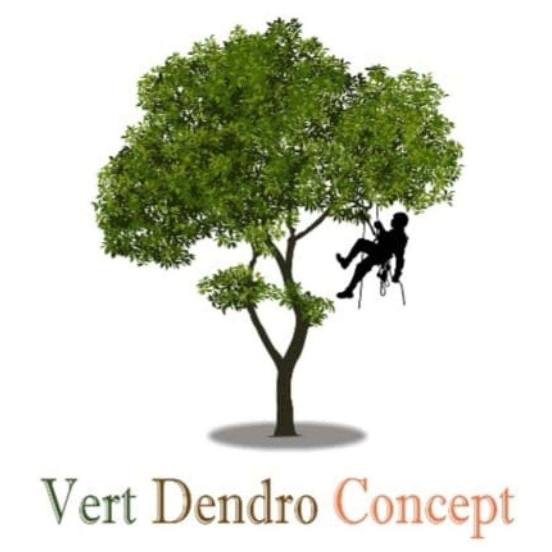 Vert Dendro Concept