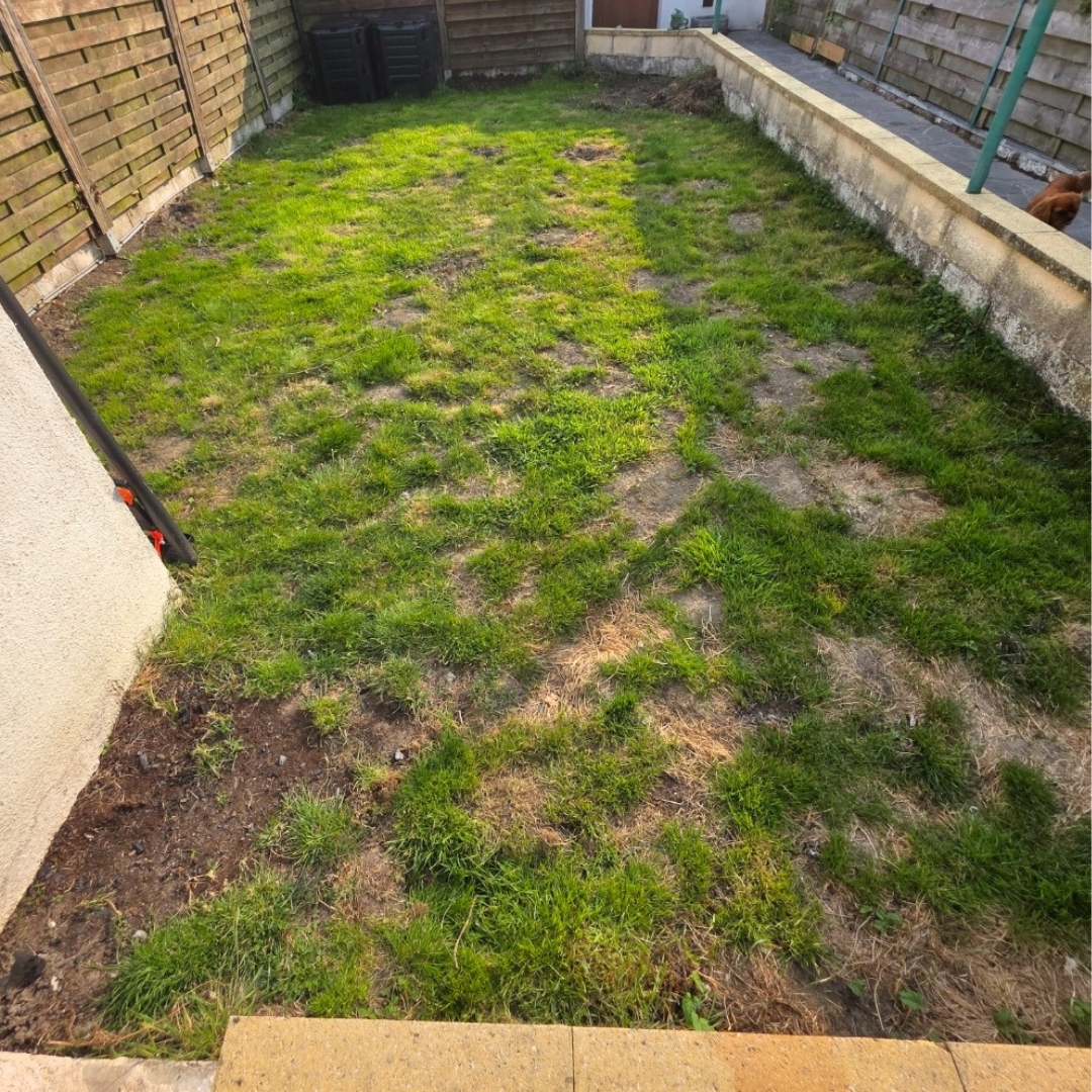 jardinerie, élagage, jardinage, entretien de jardin, élagueur, grimpeur, paysagiste, tonte pelouse, taille haie, coupe