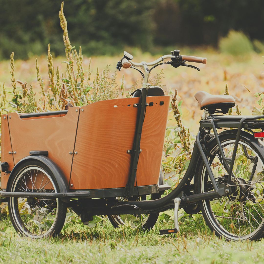 architecture, architecte, agencements, organisation, configuration, maison, vente, pièce, 
                    cuisine, bureaux, restaurants, commerces, couleurs, nuanciers, décoration