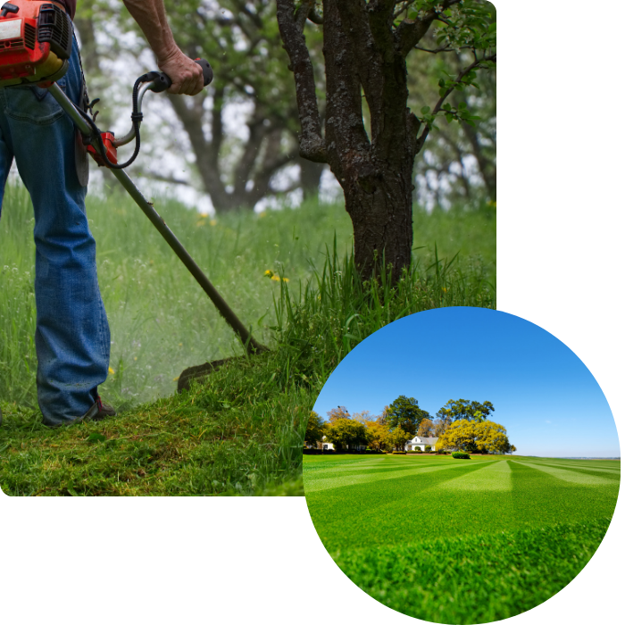 Entretien, jardin, nettoyage, débrousailleuse, coupe bordure, pelouse, herbe, gazon, tonte