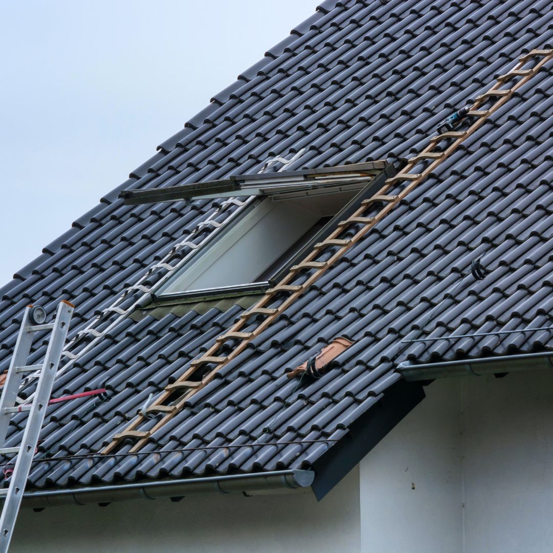 Charpente, Architecture, Performance énergétique, Esthétique