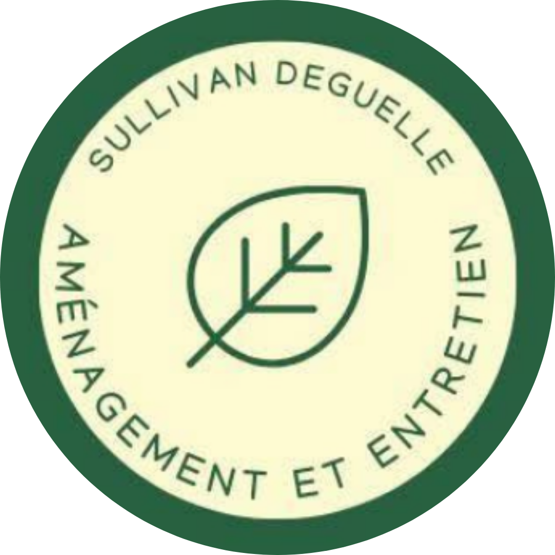 Sullivan Deguelle