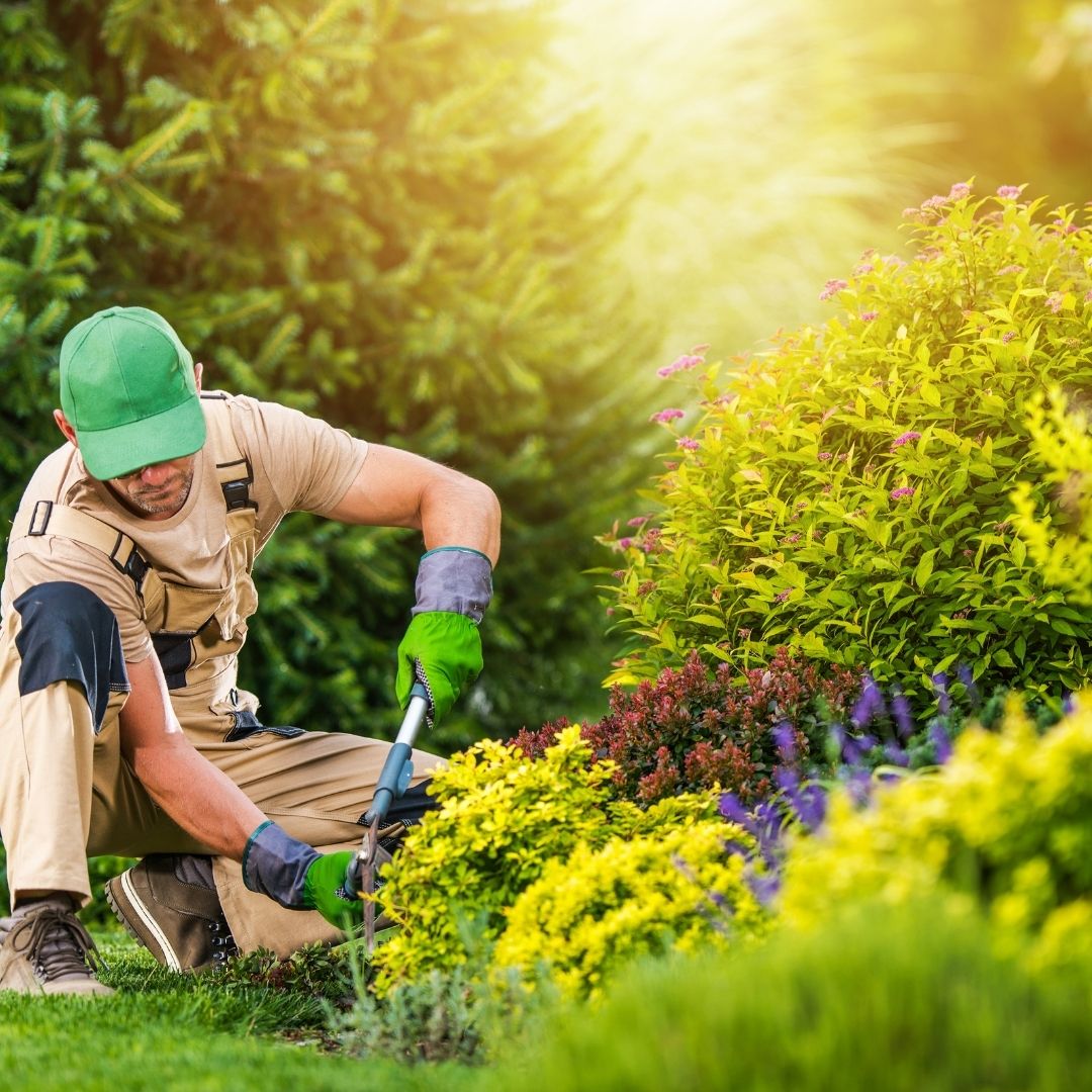 abattage arbre Theux sécurisé, élagage arbres dangereux Spa, entretien jardin Pepinster tonte, aménagement paysager Theux terrasse, taille haies région verviétoise, débroussaillage terrain Theux, pose clôture bois Spa, pavage allée jardin Pepinster, évacuation déchets verts Theux, nettoyage parterre Spa entretien, espaces verts Theux aménagement, abattage arbre dangereux Pepinster, création parterres Theux jardin, pose bordures Spa aménagement, dégagement terrain verviétois, clôture occultante Theux installation, tonte pelouse régulière Pepinster, élagage taille arbres Spa, parking extérieur pavé Theux, entretien espaces verts Liège Theux