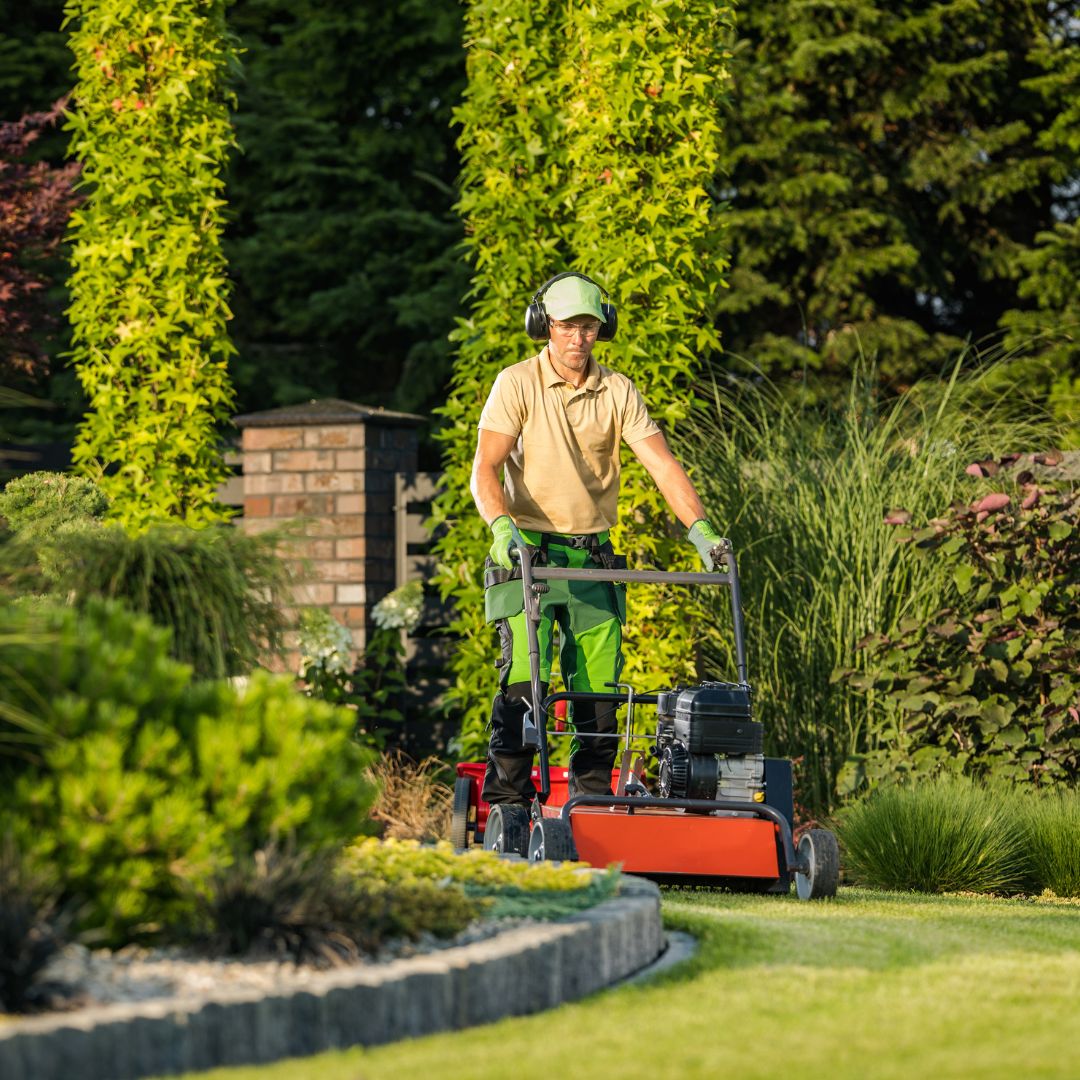 abattage arbre Theux sécurisé, élagage arbres dangereux Spa, entretien jardin Pepinster tonte, aménagement paysager Theux terrasse, taille haies région verviétoise, débroussaillage terrain Theux, pose clôture bois Spa, pavage allée jardin Pepinster, évacuation déchets verts Theux, nettoyage parterre Spa entretien, espaces verts Theux aménagement, abattage arbre dangereux Pepinster, création parterres Theux jardin, pose bordures Spa aménagement, dégagement terrain verviétois, clôture occultante Theux installation, tonte pelouse régulière Pepinster, élagage taille arbres Spa, parking extérieur pavé Theux, entretien espaces verts Liège Theux