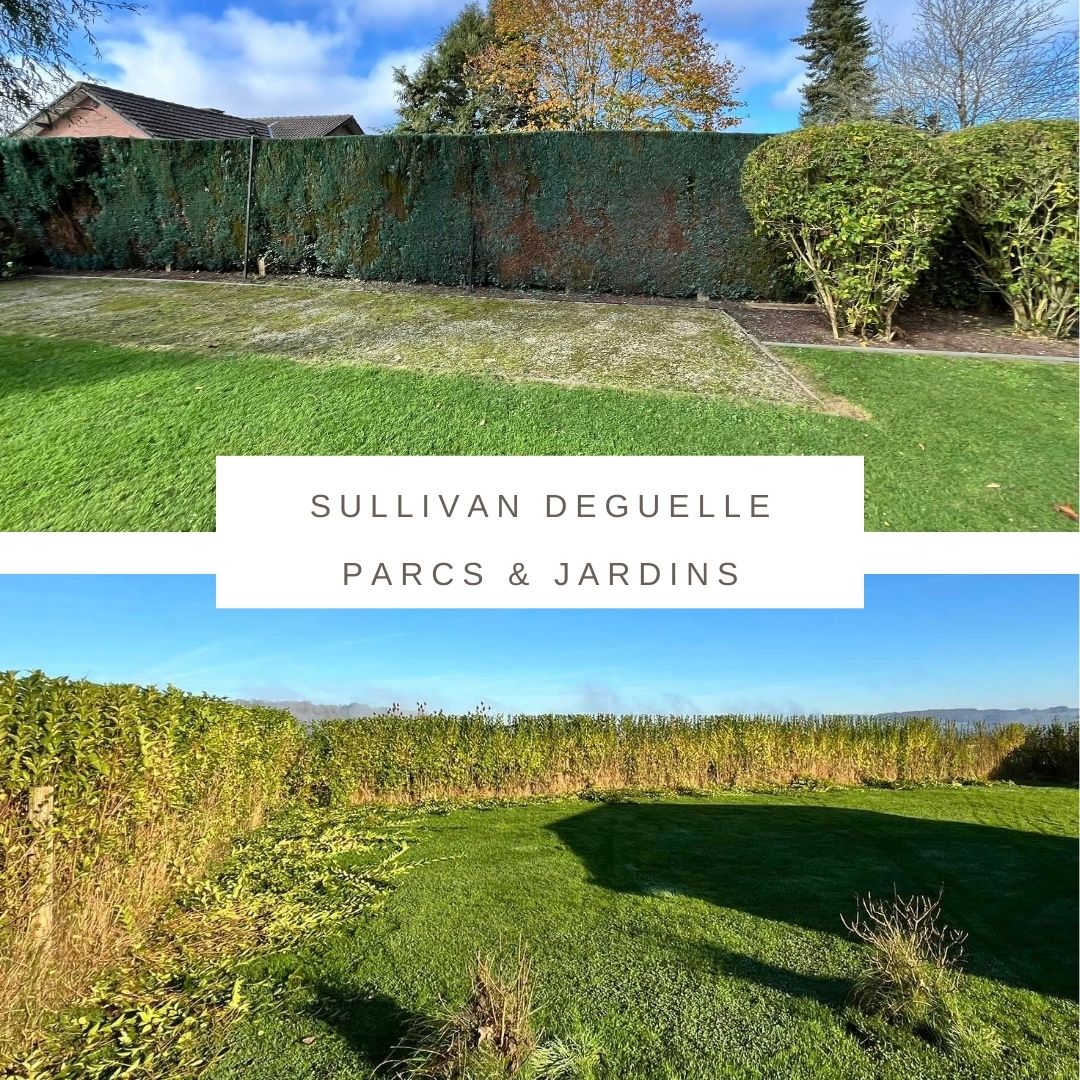 abattage arbre Theux sécurisé, élagage arbres dangereux Spa, entretien jardin Pepinster tonte, aménagement paysager Theux terrasse, taille haies région verviétoise, débroussaillage terrain Theux, pose clôture bois Spa, pavage allée jardin Pepinster, évacuation déchets verts Theux, nettoyage parterre Spa entretien, espaces verts Theux aménagement, abattage arbre dangereux Pepinster, création parterres Theux jardin, pose bordures Spa aménagement, dégagement terrain verviétois, clôture occultante Theux installation, tonte pelouse régulière Pepinster, élagage taille arbres Spa, parking extérieur pavé Theux, entretien espaces verts Liège Theux