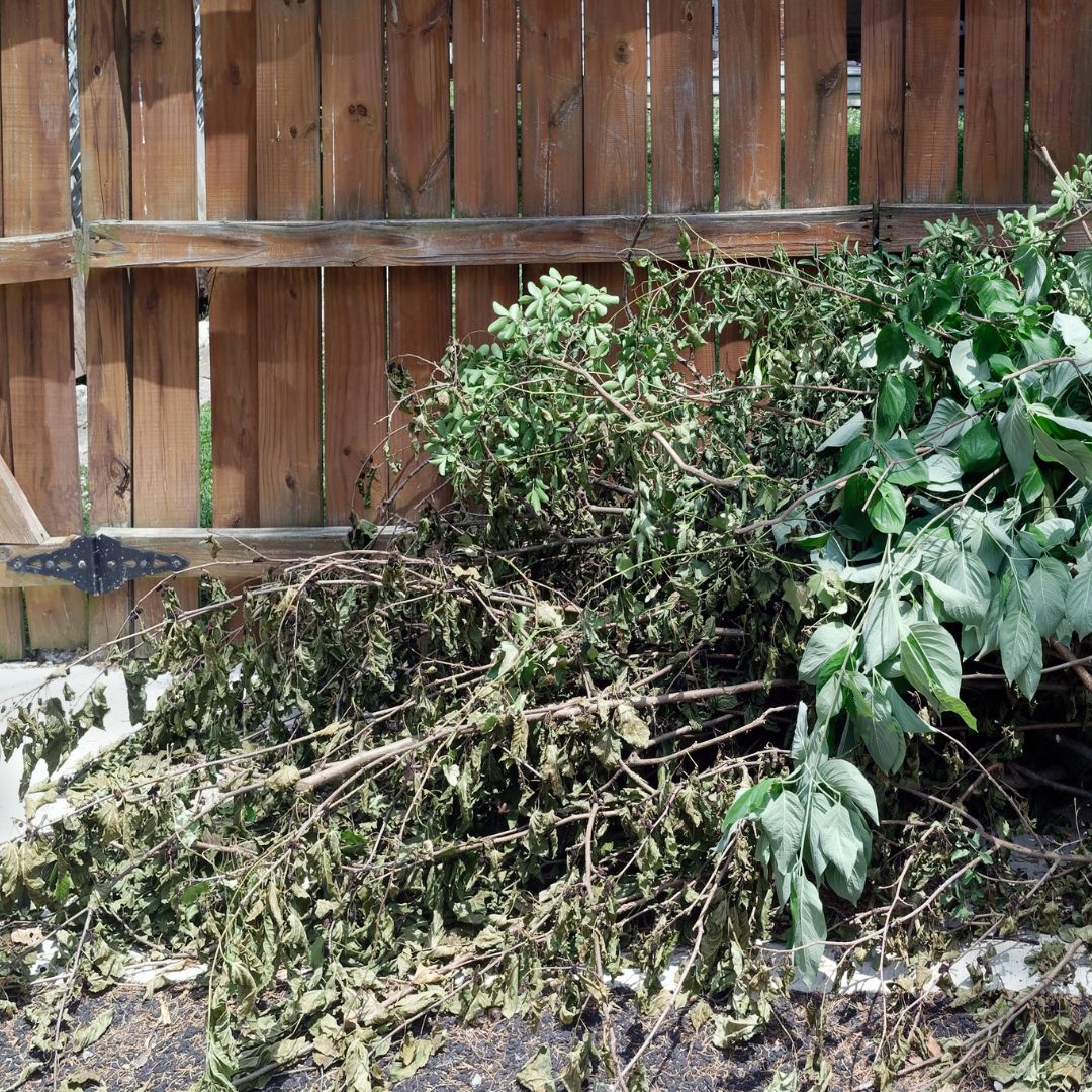 abattage arbre Theux sécurisé, élagage arbres dangereux Spa, entretien jardin Pepinster tonte, aménagement paysager Theux terrasse, taille haies région verviétoise, débroussaillage terrain Theux, pose clôture bois Spa, pavage allée jardin Pepinster, évacuation déchets verts Theux, nettoyage parterre Spa entretien, espaces verts Theux aménagement, abattage arbre dangereux Pepinster, création parterres Theux jardin, pose bordures Spa aménagement, dégagement terrain verviétois, clôture occultante Theux installation, tonte pelouse régulière Pepinster, élagage taille arbres Spa, parking extérieur pavé Theux, entretien espaces verts Liège Theux