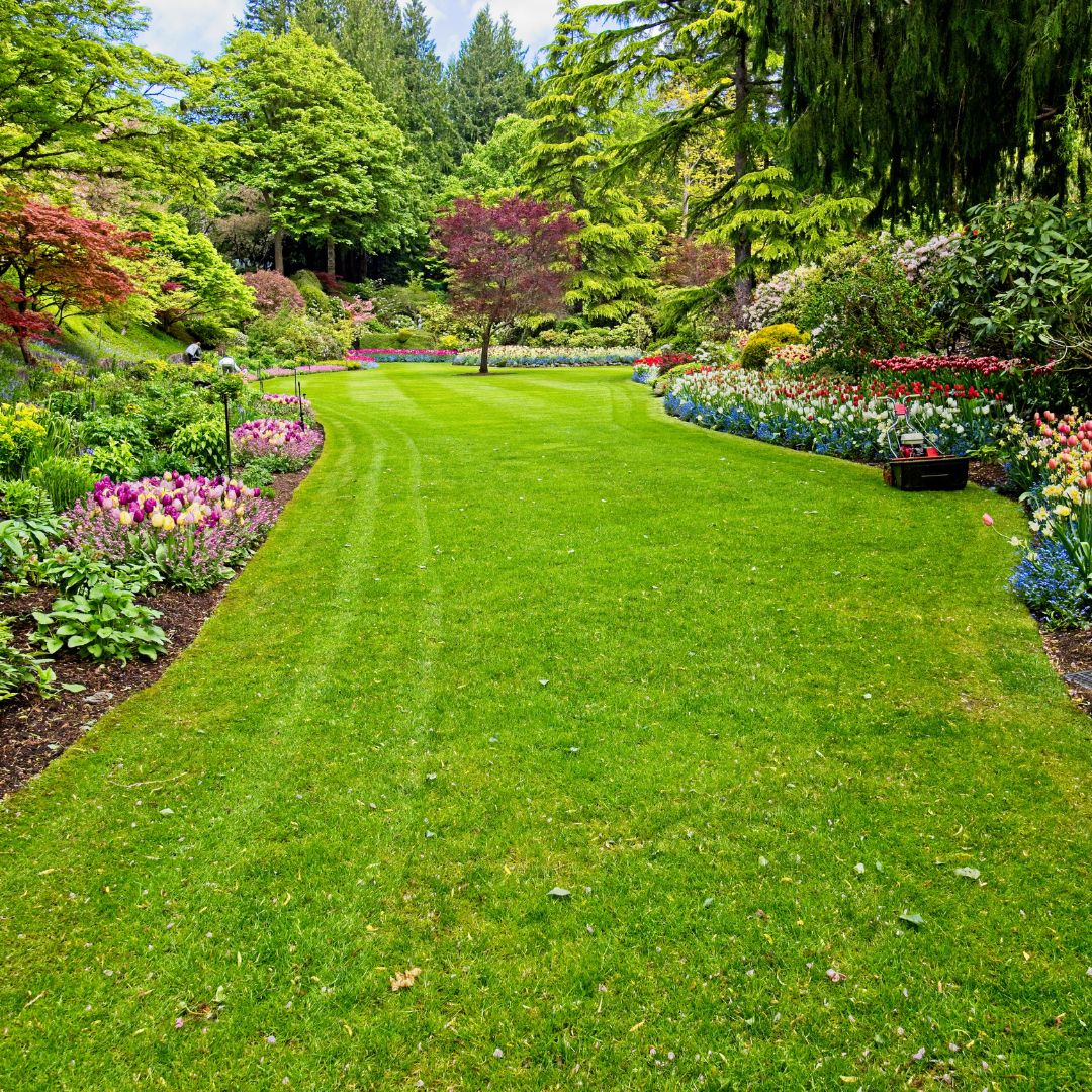 abattage arbre Theux sécurisé, élagage arbres dangereux Spa, entretien jardin Pepinster tonte, aménagement paysager Theux terrasse, taille haies région verviétoise, débroussaillage terrain Theux, pose clôture bois Spa, pavage allée jardin Pepinster, évacuation déchets verts Theux, nettoyage parterre Spa entretien, espaces verts Theux aménagement, abattage arbre dangereux Pepinster, création parterres Theux jardin, pose bordures Spa aménagement, dégagement terrain verviétois, clôture occultante Theux installation, tonte pelouse régulière Pepinster, élagage taille arbres Spa, parking extérieur pavé Theux, entretien espaces verts Liège Theux