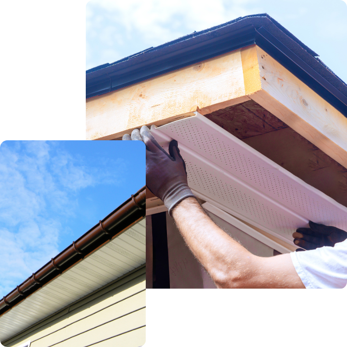 Cache moineaux, oiseaux, nuisible, protection, toit, toiture, accès, planche, corniches