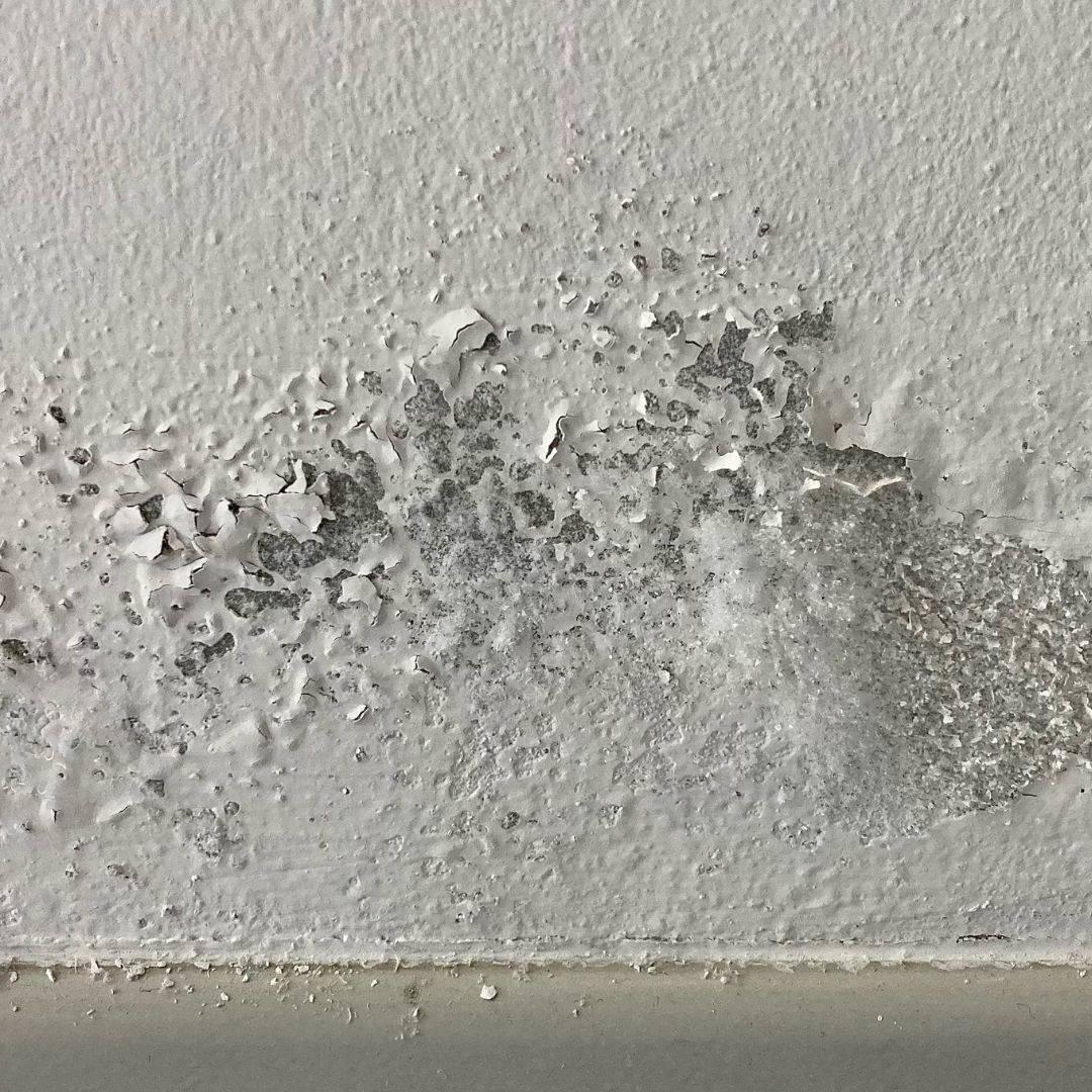 Meuble de cuisine, salle de bain, placard, dressing, rangements