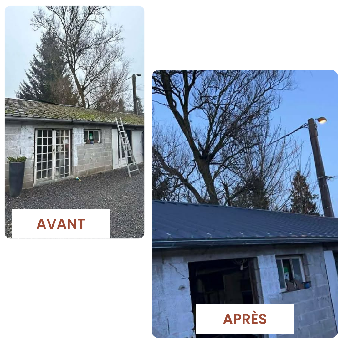 Toiture couvreur, toit, charpente, zinguerie, construction, nouvelle toiture, rénovation, couverture