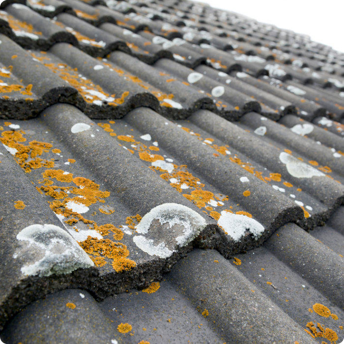 travaux étanchéité, démoussage, mousse, nettoyage toiture, toit, couverture