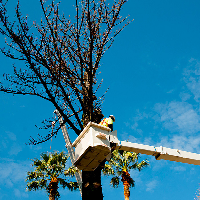 nettoyage de chantier, nettoyage de vitres, nettoyage de carrelage, entreprise de nettoyage, nettoyages multiples, abattage d’arbres, abattage, nettoyage L'Isle-d'Abeau, nettoyage Bourgoin-Jallieu, nettoyage Villefontaine, société de nettoyage