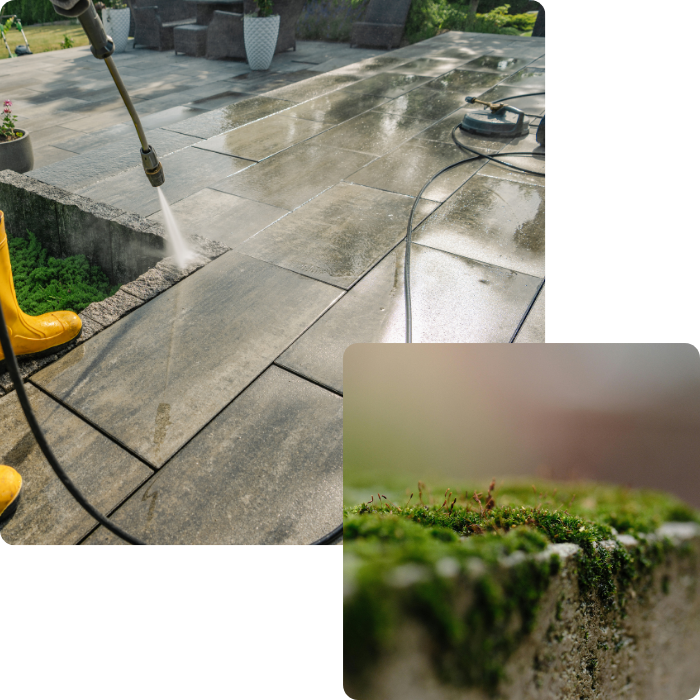 nettoyage anti mousse, nettoyage extérieur, sols extérieurs, traitement anti mousse