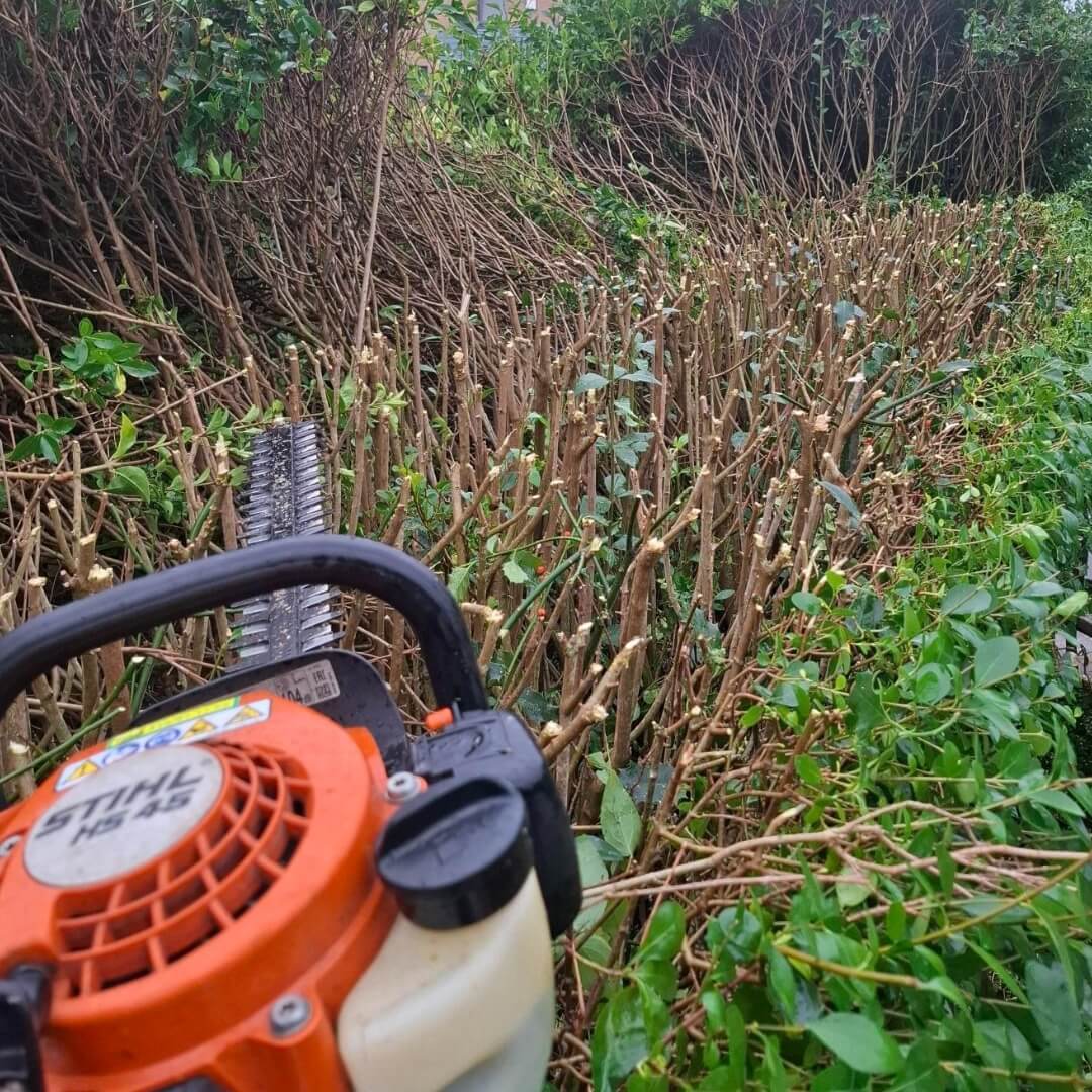 jardinier paysagiste Orp-Jauche entretien, aménagement jardin Hannut clôture, tonte pelouse Perwez régulière, élagage arbres Orp-Jauche professionnel, taille haie Hannut précise, plantation massifs Perwez, nettoyage terrasse haute pression Orp-Jauche, drainage jardin Hannut installation, pavage allée Perwez, débroussaillage Orp-Jauche terrain, abattage arbre Hannut sécurisé, scarification pelouse Perwez, nettoyage façade Orp-Jauche, ramassage feuilles Hannut automne, rognage souche Perwez, traitement hydrofuge toiture Orp-Jauche, broyage déchets verts Hannut, clôture bois Perwez installation, entretien espaces verts Orp-Jauche, jardin aménagé Hannut professionnel