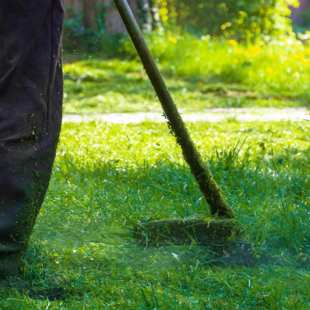 jardinier paysagiste Quiévrechain entretien, tonte pelouse Anzin régulière, aménagement jardin Valenciennes, terrasse bois Quiévrechain, taille haie Anzin, plantation massifs Valenciennes, clôture bois Quiévrechain installation, élagage arbres Anzin professionnel, allée jardin Valenciennes pavage, pergola Quiévrechain ombrage, éclairage extérieur Anzin, abri jardin Valenciennes, portail Quiévrechain pose, pelouse Anzin entretien, mur végétal Valenciennes, terrasse dalles Quiévrechain, voile ombrage Anzin, étang mare Valenciennes, abattage arbre Quiévrechain, jardin aménagé Anzin professionnel
