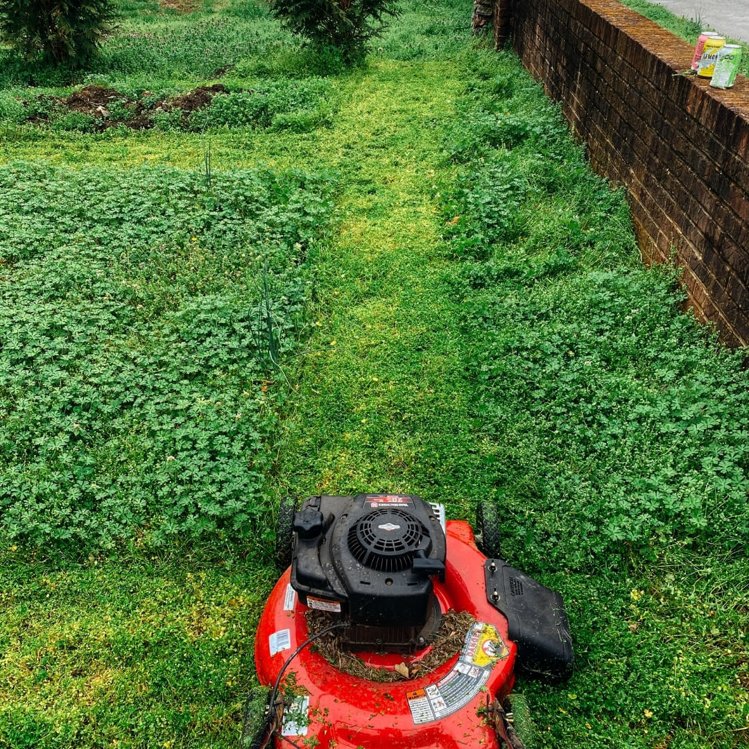 jardinier paysagiste Quiévrechain entretien, tonte pelouse Anzin régulière, aménagement jardin Valenciennes, terrasse bois Quiévrechain, taille haie Anzin, plantation massifs Valenciennes, clôture bois Quiévrechain installation, élagage arbres Anzin professionnel, allée jardin Valenciennes pavage, pergola Quiévrechain ombrage, éclairage extérieur Anzin, abri jardin Valenciennes, portail Quiévrechain pose, pelouse Anzin entretien, mur végétal Valenciennes, terrasse dalles Quiévrechain, voile ombrage Anzin, étang mare Valenciennes, abattage arbre Quiévrechain, jardin aménagé Anzin professionnel