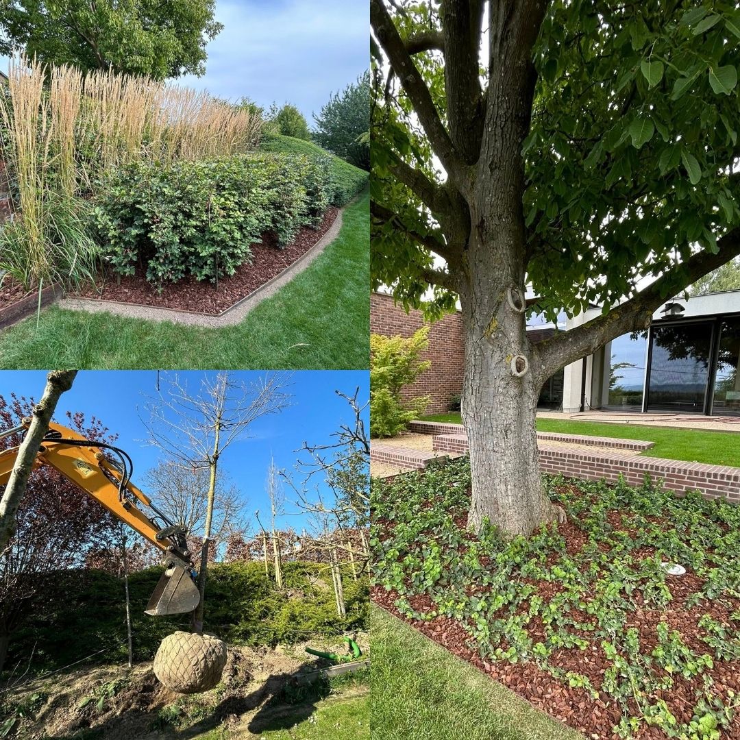 Création de jardin, espace vert, abattage, pergola, poolhouse, abris de jardin, jardinier paysagiste, plantes, haies, arbustes