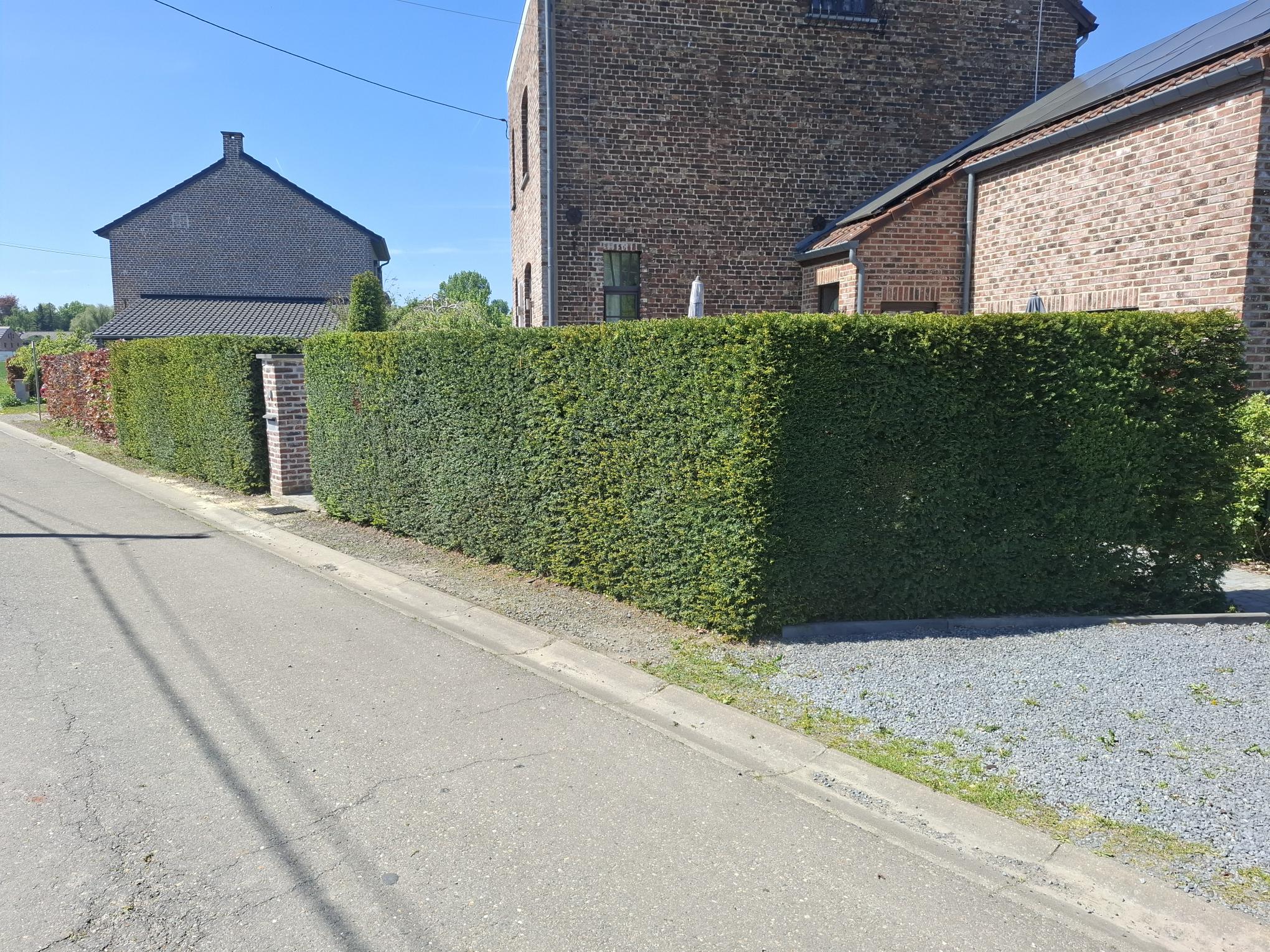 jardinier paysagiste Orp-Jauche entretien, aménagement jardin Hannut clôture, tonte pelouse Perwez régulière, élagage arbres Orp-Jauche professionnel, taille haie Hannut précise, plantation massifs Perwez, nettoyage terrasse haute pression Orp-Jauche, drainage jardin Hannut installation, pavage allée Perwez, débroussaillage Orp-Jauche terrain, abattage arbre Hannut sécurisé, scarification pelouse Perwez, nettoyage façade Orp-Jauche, ramassage feuilles Hannut automne, rognage souche Perwez, traitement hydrofuge toiture Orp-Jauche, broyage déchets verts Hannut, clôture bois Perwez installation, entretien espaces verts Orp-Jauche, jardin aménagé Hannut professionnel